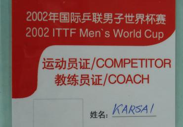 2002 World Cup Coach